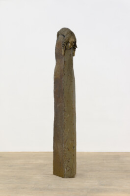 Stephen Lichty